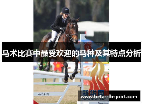 马术比赛中最受欢迎的马种及其特点分析
