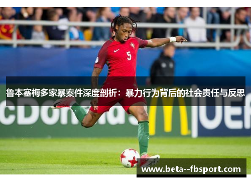 鲁本塞梅多家暴案件深度剖析：暴力行为背后的社会责任与反思